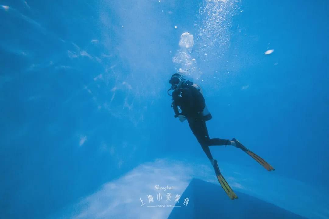 救援青龙